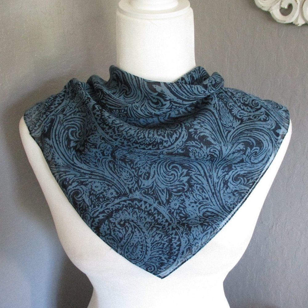 **2/12$** Semi sheer blue paisley scarf